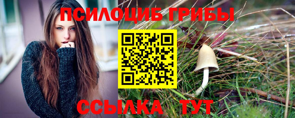 Галлюциногенные грибы Psilocybine cubensis  Вход с VPN  Галлюциногенные грибы Cubensis  Будённовск 